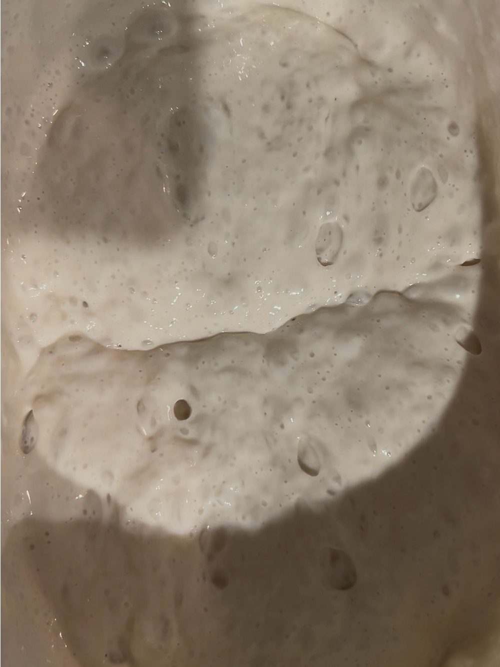 Sourdough starter dehydrated